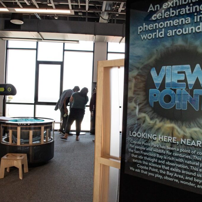 The entry to ViewPoint, CuriOdyssey's new exhibition in the Bay Gallery